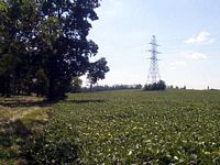 tn_01cullen.jpg - 9719 Bytes