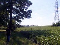 tn_02cullen.jpg - 9469 Bytes