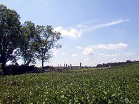 tn_03cullen.jpg - 9029 Bytes