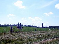 tn_07cullen.jpg - 7376 Bytes