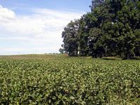 tn_08cullen.jpg - 10973 Bytes