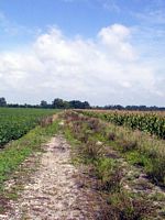 tn_02garard.jpg - 8644 Bytes