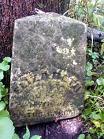 tn_elizabethgarard.jpg - 12885 Bytes