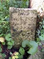 tn_infant.jpg - 12145 Bytes