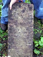 tn_josephgarard.jpg - 12006 Bytes