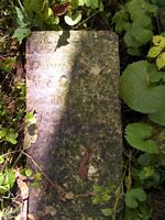 tn_lucretiagarard.jpg - 11102 Bytes