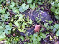 tn_slottedbase.jpg - 14065 Bytes