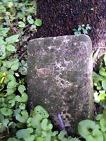 tn_unknowningarard.jpg - 12405 Bytes