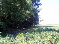 tn_00mccormick.jpg - 11163 Bytes