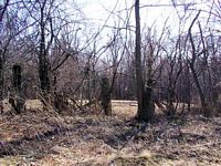 tn_03mill.jpg - 13289 Bytes