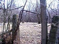 tn_04mill.jpg - 13394 Bytes