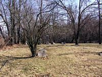 tn_06mill.jpg - 13072 Bytes