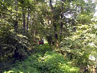 tn_02smithfield.jpg - 11646 Bytes