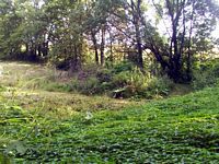 tn_03smithfield.jpg - 14195 Bytes