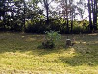 tn_04smithfield.jpg - 12417 Bytes