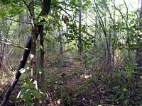 tn_03truitt.jpg - 13522 Bytes