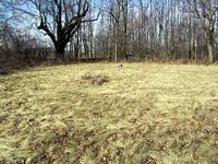 tn_04philad.jpg - 12276 Bytes