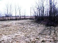 tn_07philad.jpg - 11817 Bytes