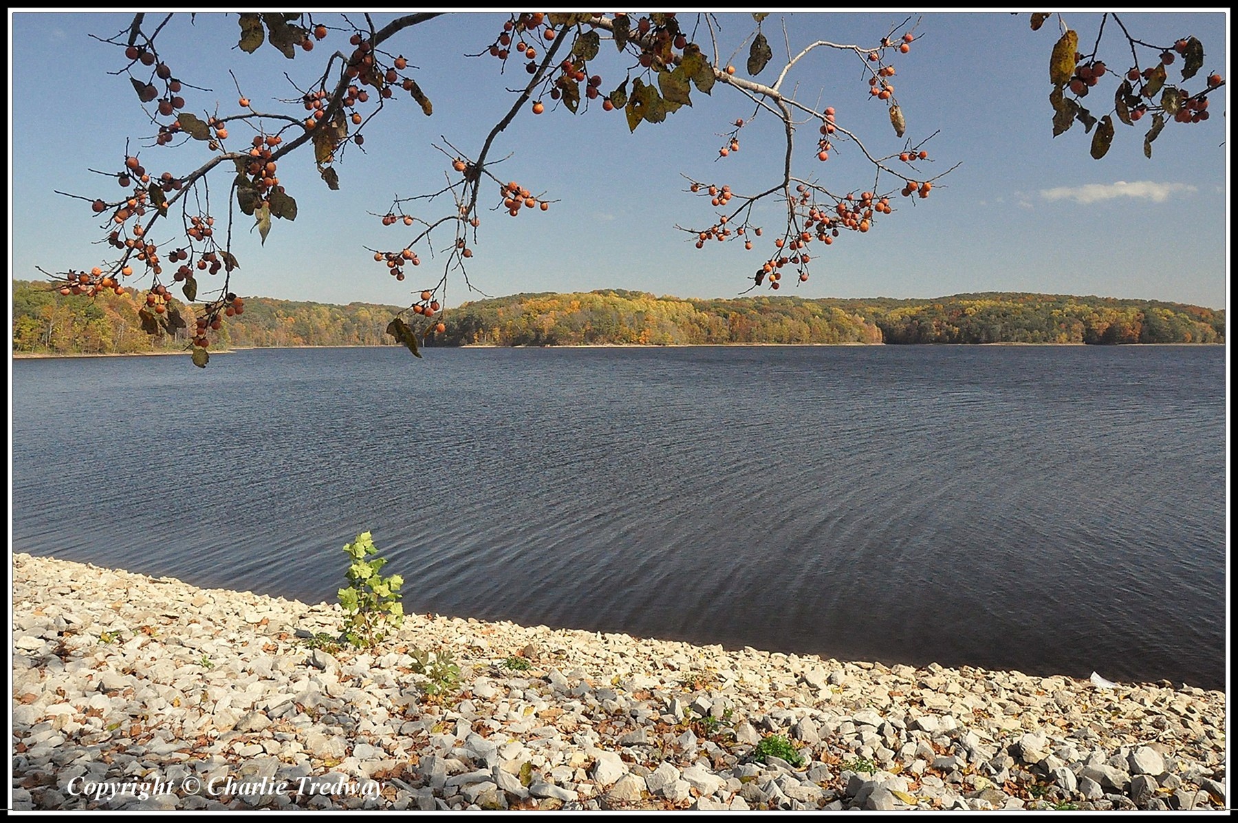 Patoka_Lake