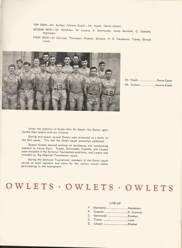 62  Owlets