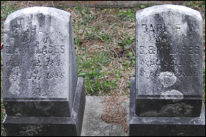 Carl and Clara Labes