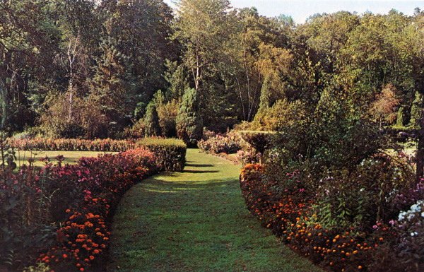 Netherlands Garden