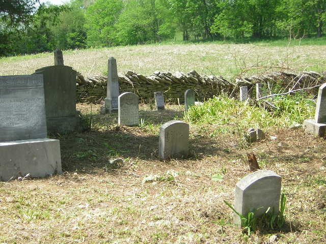 Fish cemetery view