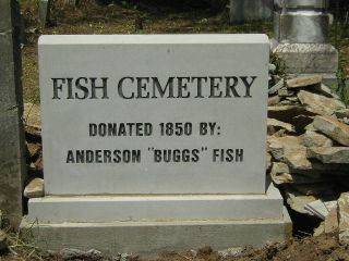Fish cemetery sign