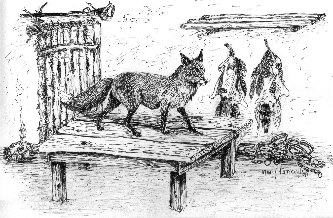 fox