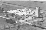 enos grain co