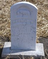 Harris Detmer E