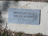 Tetter Marcellus