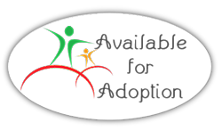available for adoption